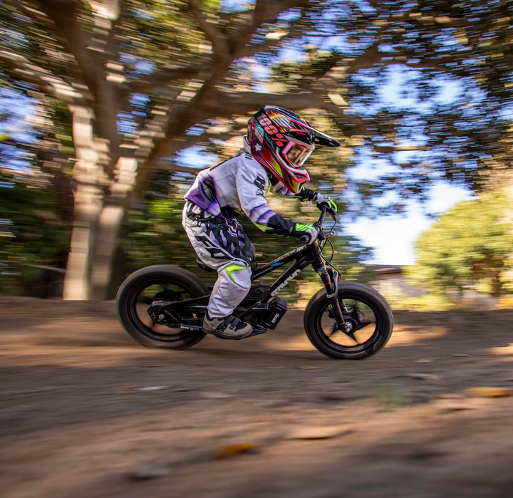 STACYC 16eDRIVE ELITE 36V